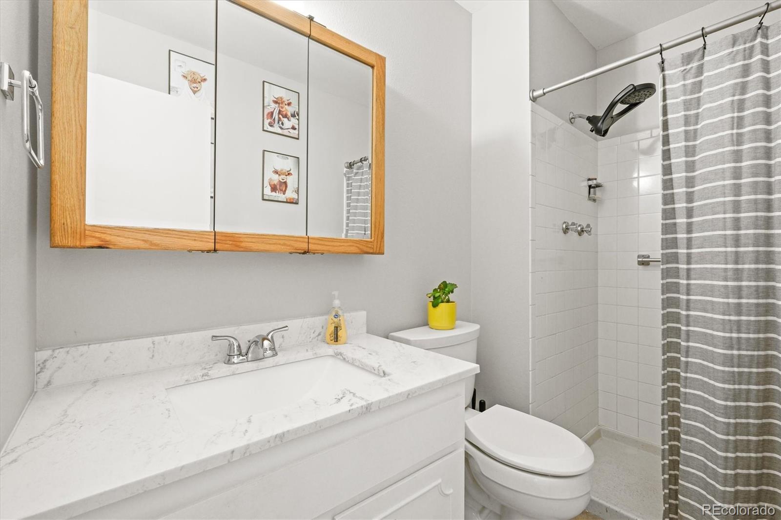 MLS Image #18 for 770 s youngfield ,lakewood, Colorado