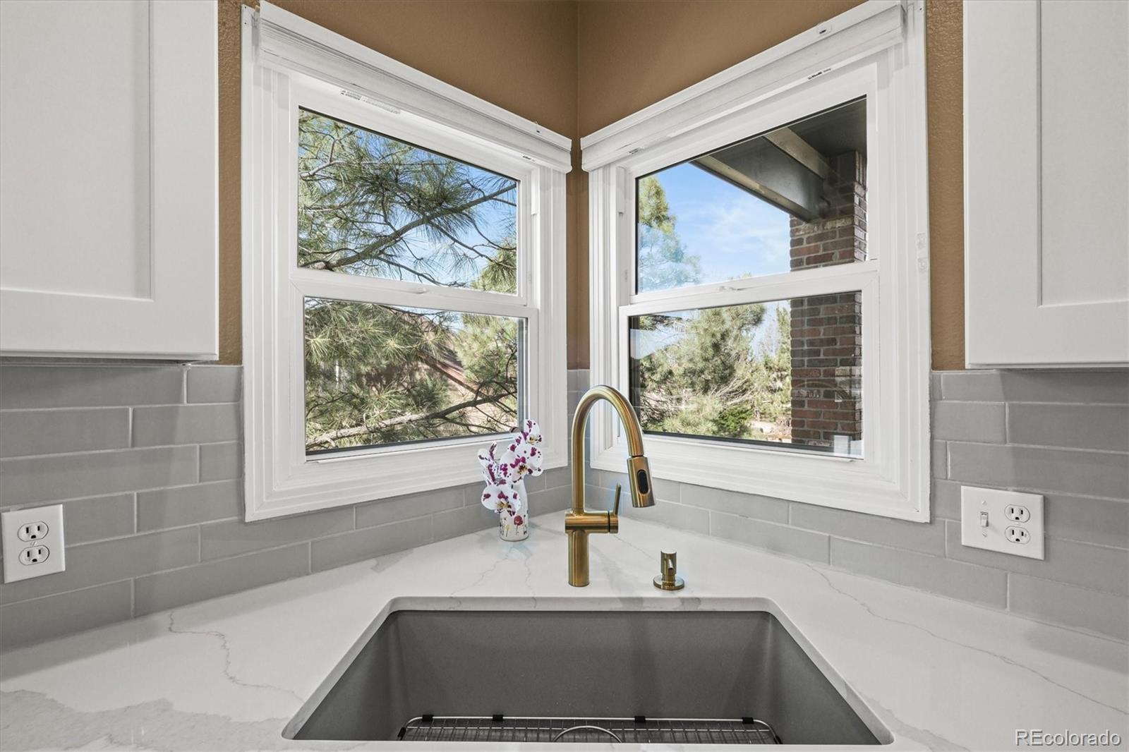 MLS Image #14 for 10831  eagle crest lane,parker, Colorado