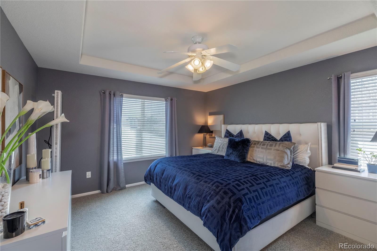 MLS Image #15 for 10806  cedar brook lane,highlands ranch, Colorado