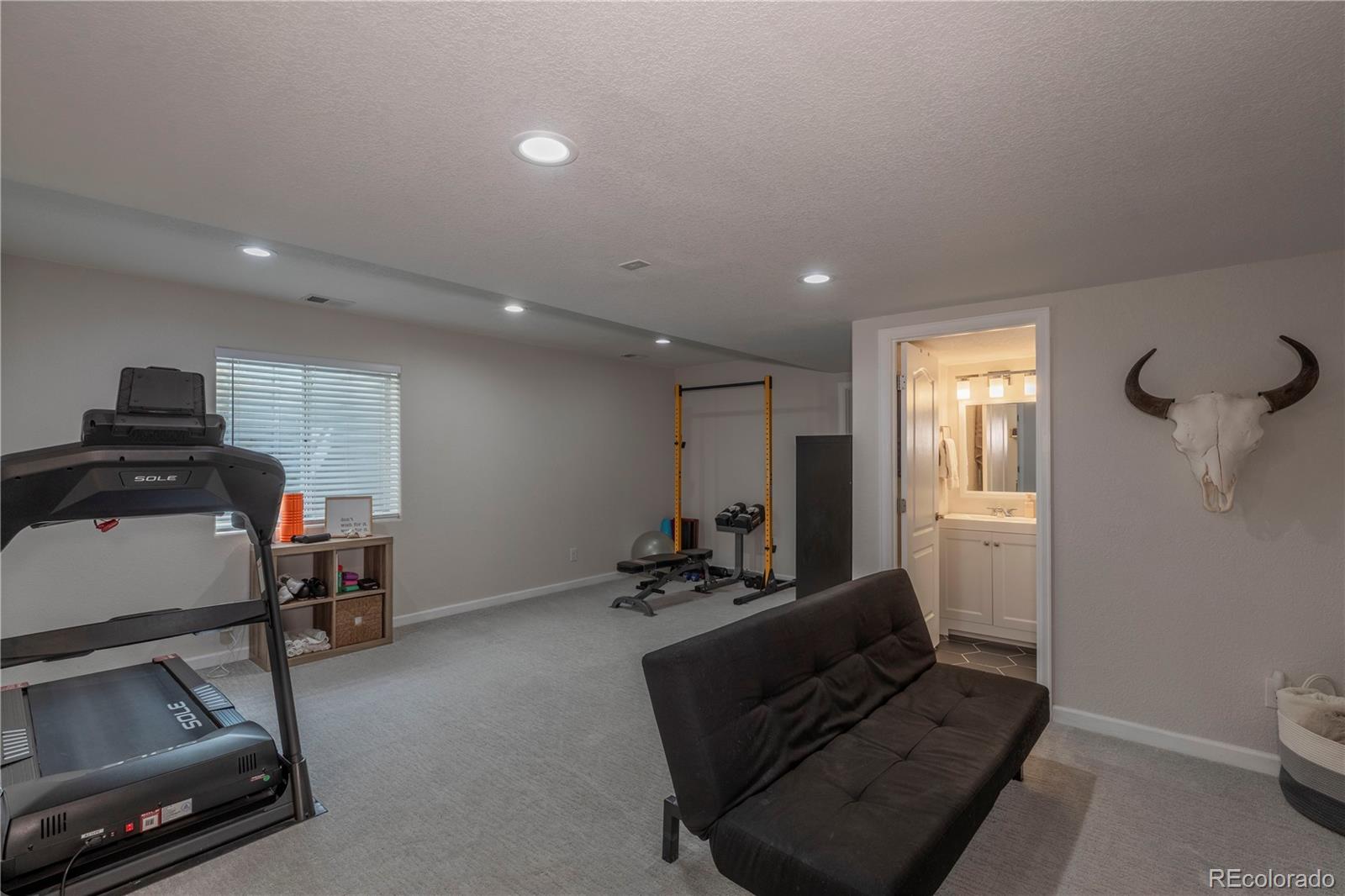 MLS Image #27 for 10806  cedar brook lane,highlands ranch, Colorado