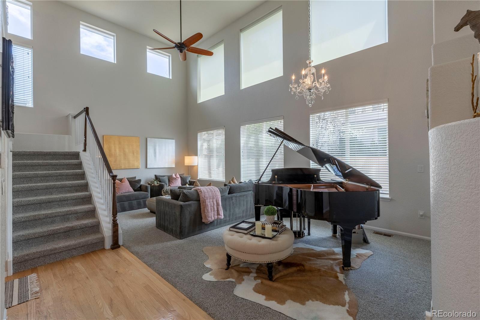 MLS Image #4 for 10806  cedar brook lane,highlands ranch, Colorado