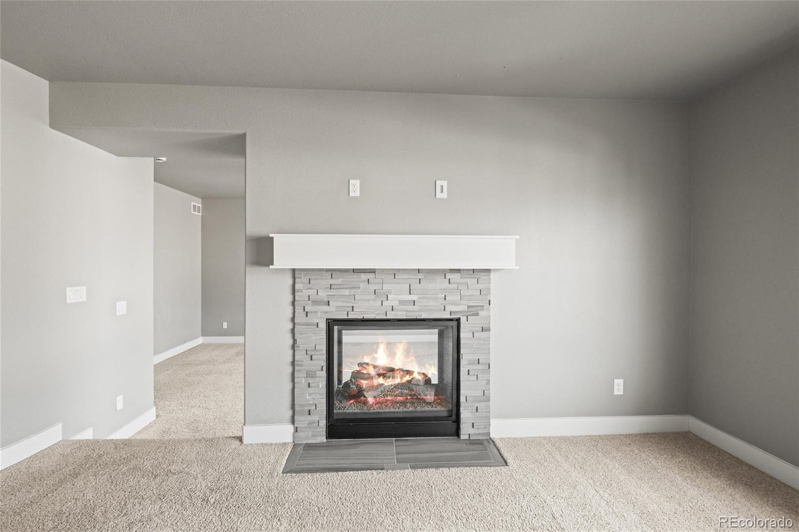 MLS Image #15 for 2234  green grass court,colorado springs, Colorado
