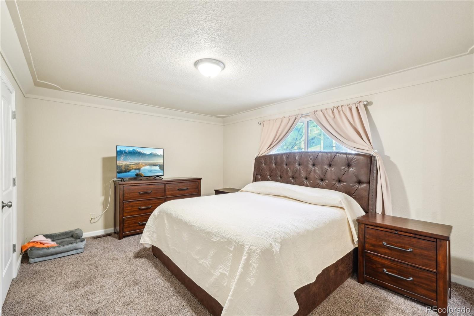 MLS Image #17 for 5435  setters way,colorado springs, Colorado