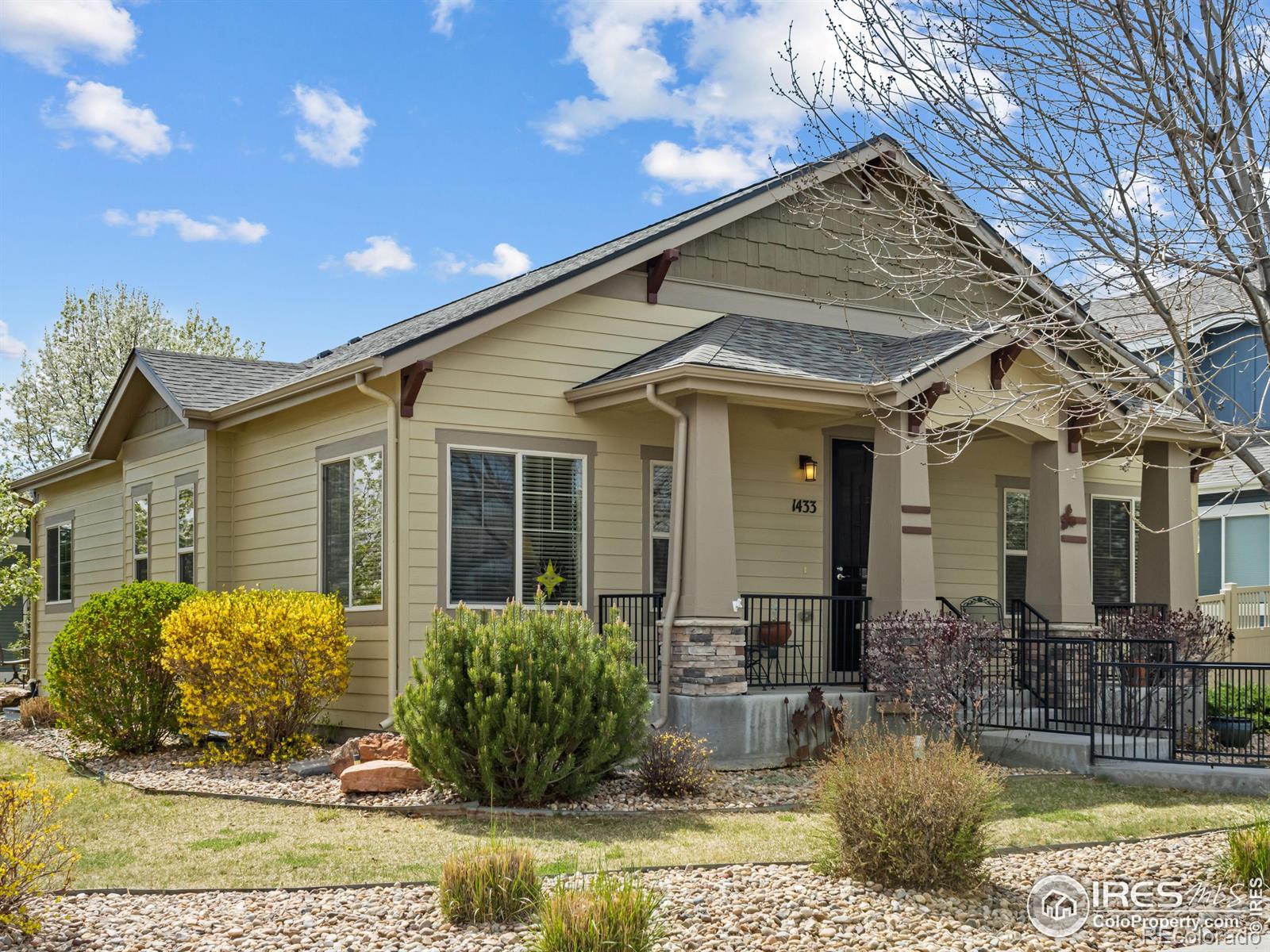 MLS Image #0 for 1433  moonlight drive,longmont, Colorado