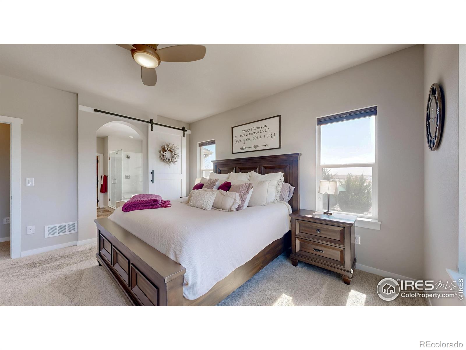 MLS Image #13 for 505  remington drive,hudson, Colorado