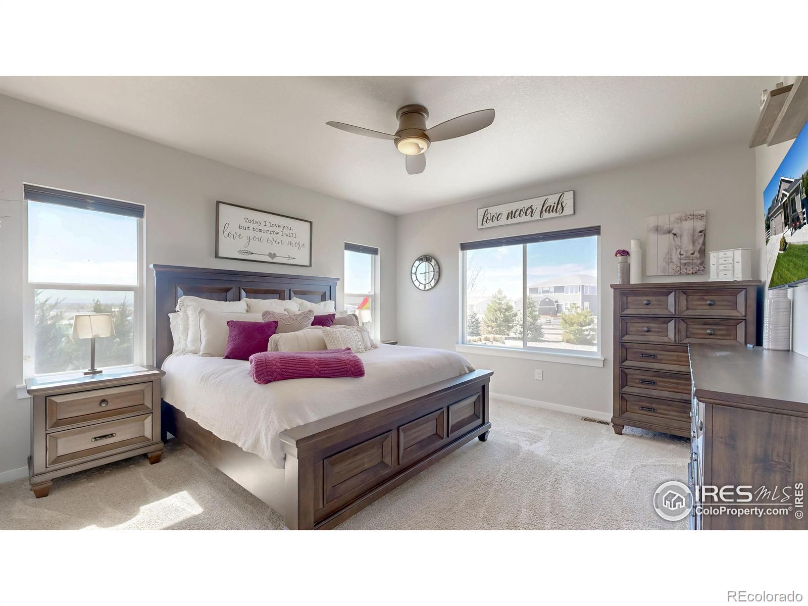 MLS Image #14 for 505  remington drive,hudson, Colorado