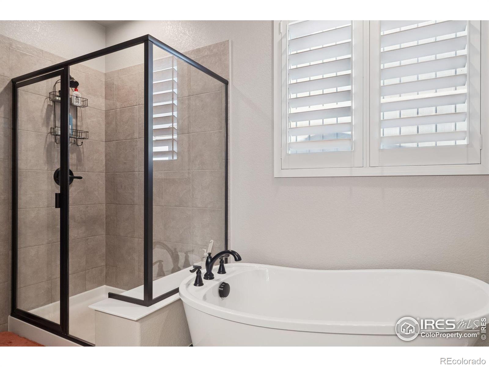 MLS Image #20 for 2882  heron lakes parkway,berthoud, Colorado
