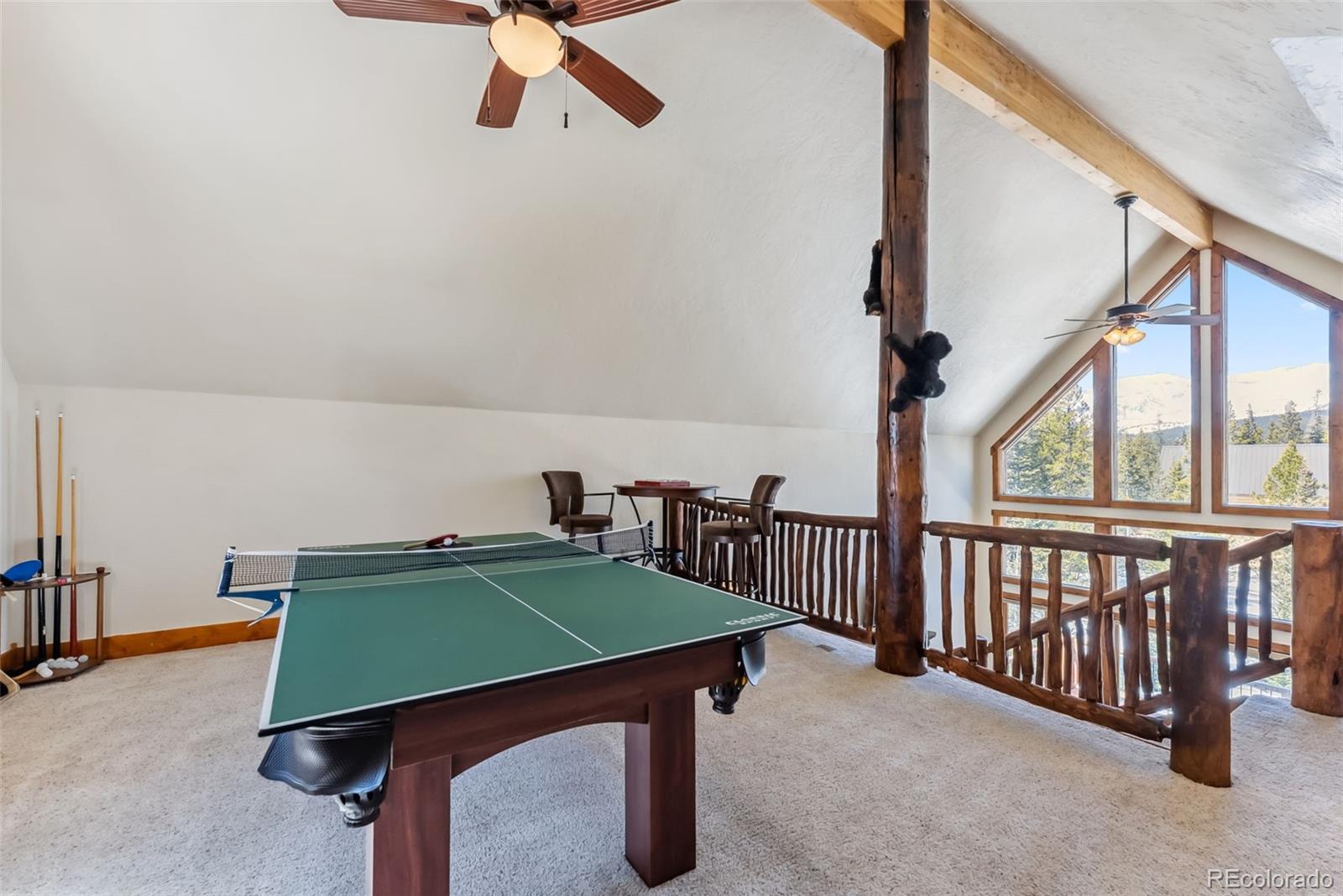 MLS Image #22 for 192  gold trail,fairplay, Colorado