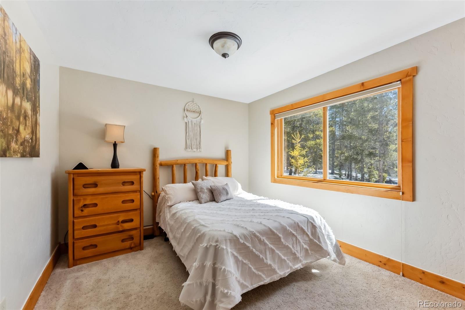 MLS Image #33 for 192  gold trail,fairplay, Colorado