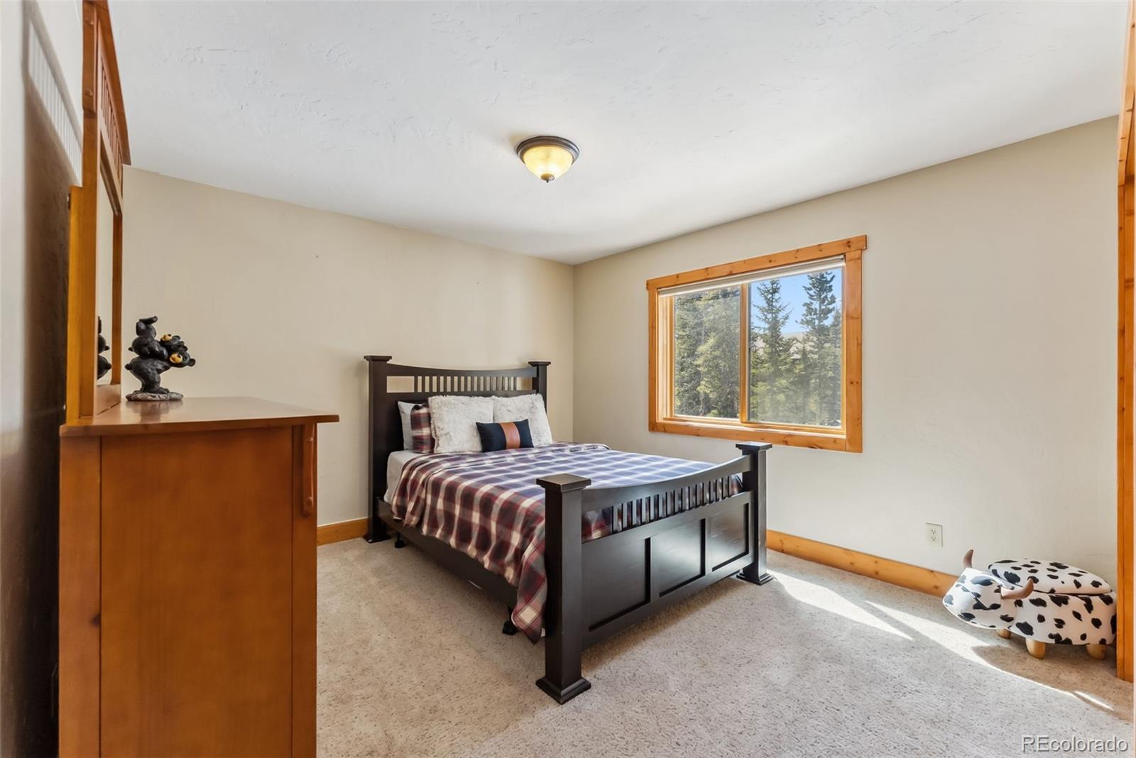 MLS Image #36 for 192  gold trail,fairplay, Colorado