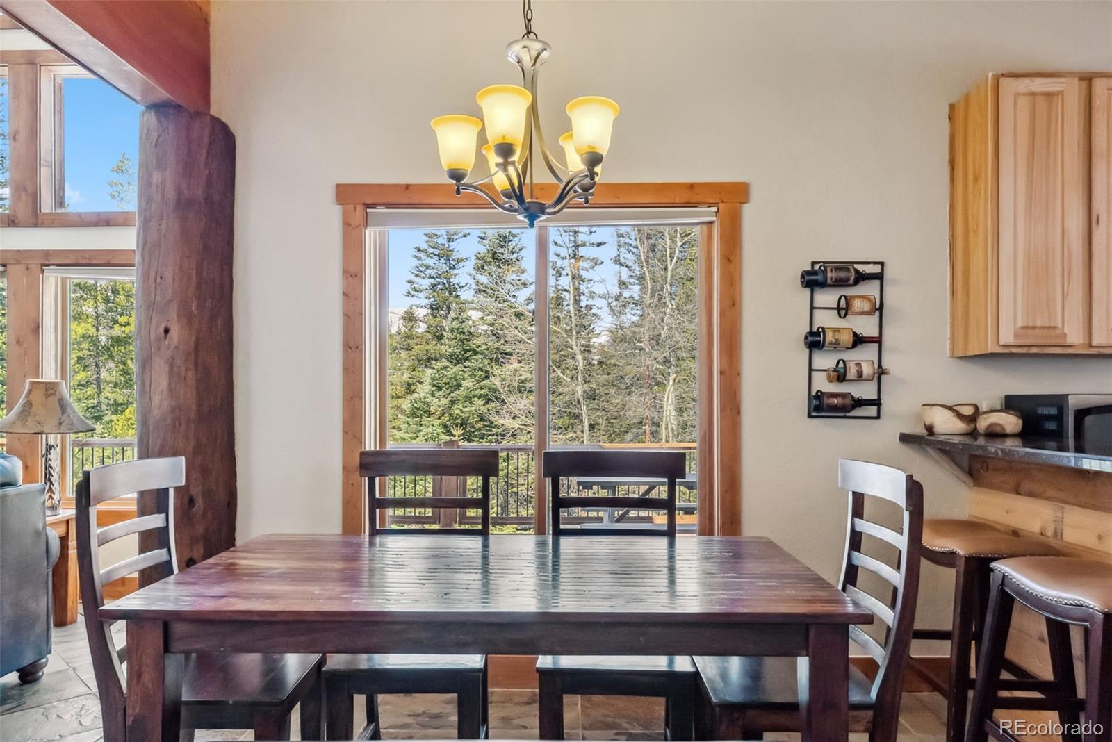 MLS Image #8 for 192  gold trail,fairplay, Colorado