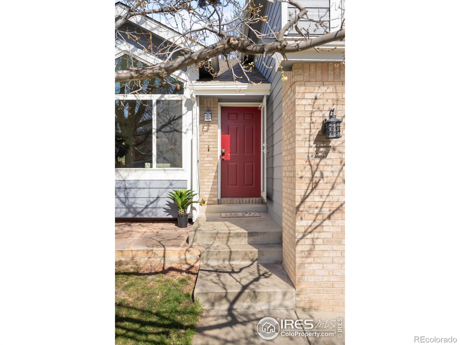 Report Image for 221 S Lark Avenue,Louisville, Colorado