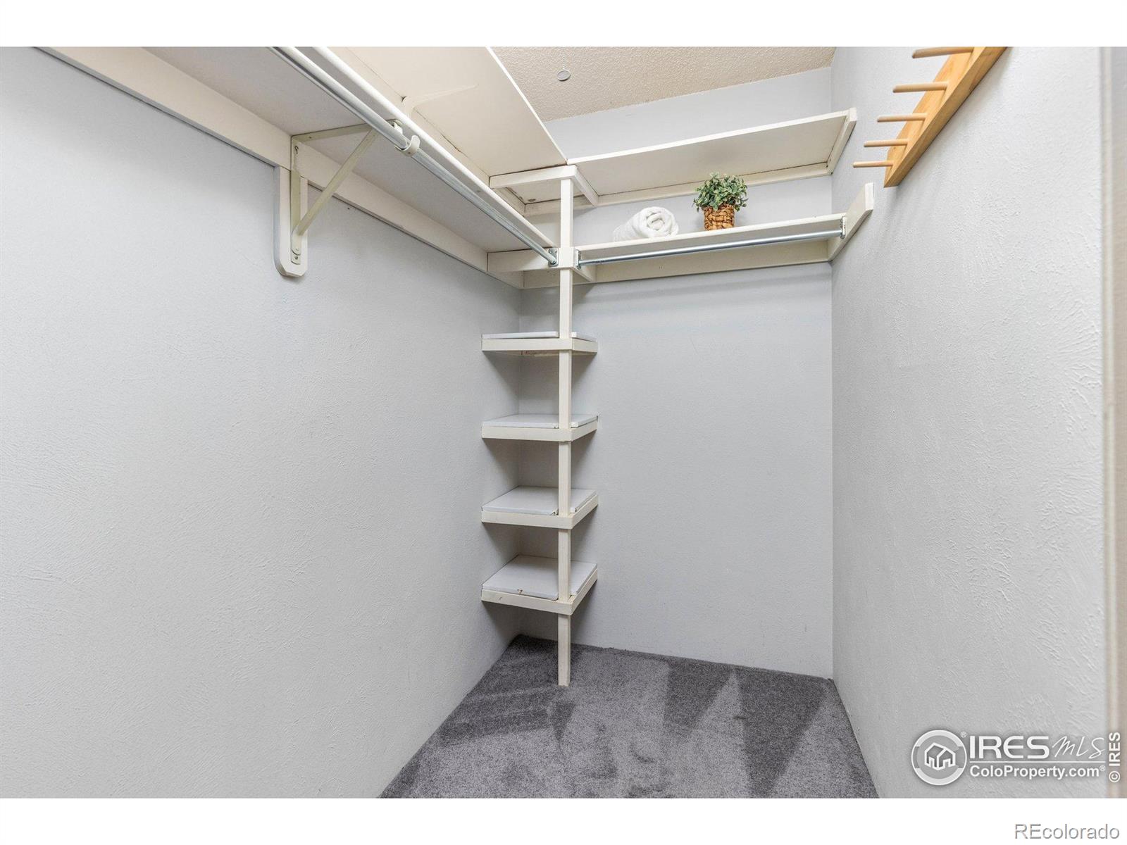 MLS Image #13 for 4725  spine road,boulder, Colorado