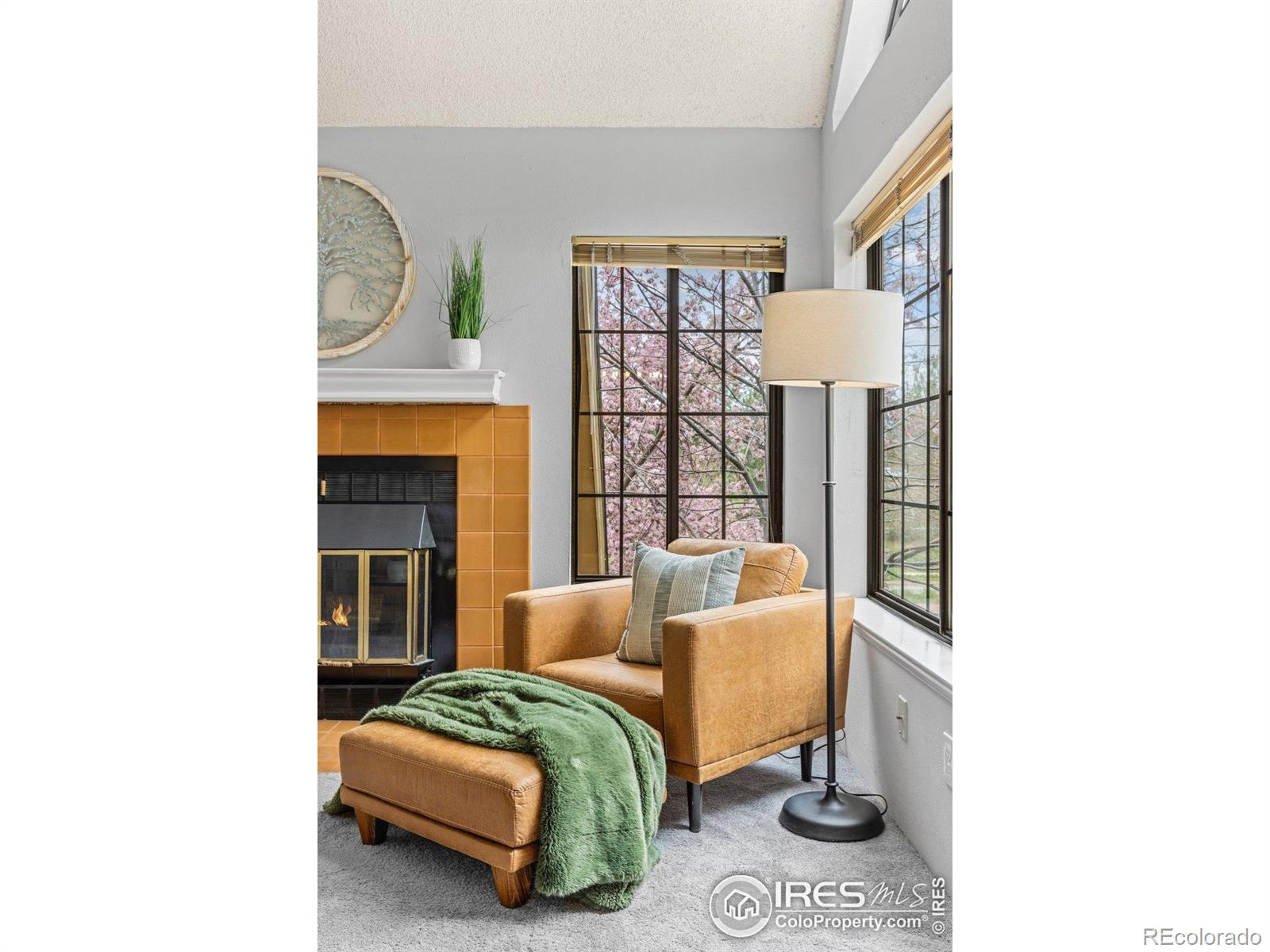MLS Image #5 for 4725  spine road,boulder, Colorado