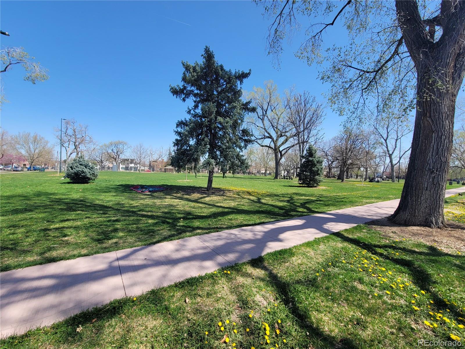 MLS Image #5 for 3045  arapahoe street,denver, Colorado