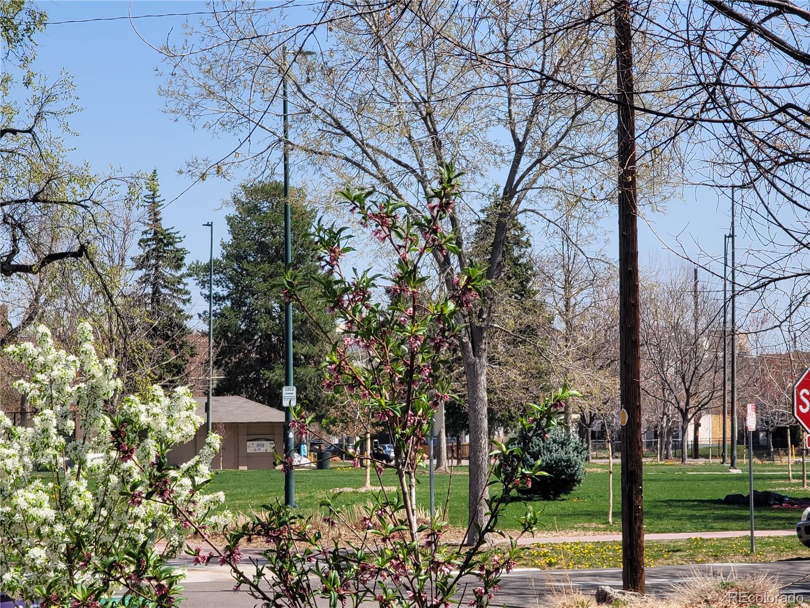 MLS Image #6 for 3045  arapahoe street,denver, Colorado