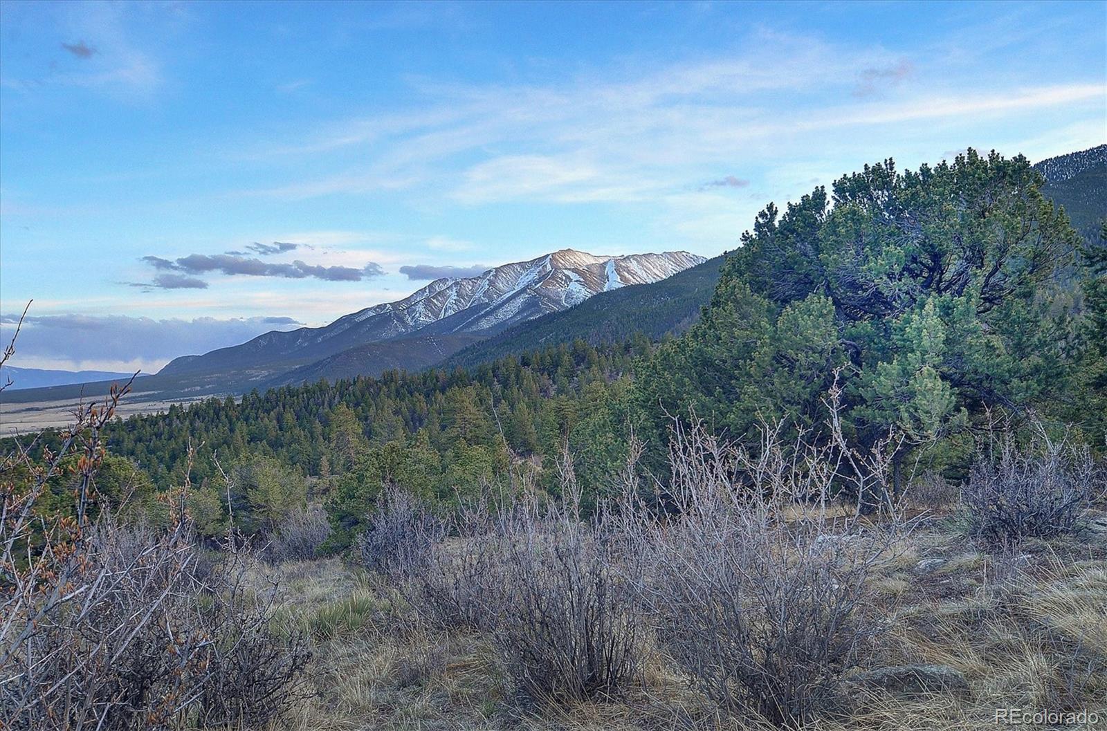 MLS Image #2 for 30034  creek run,buena vista, Colorado