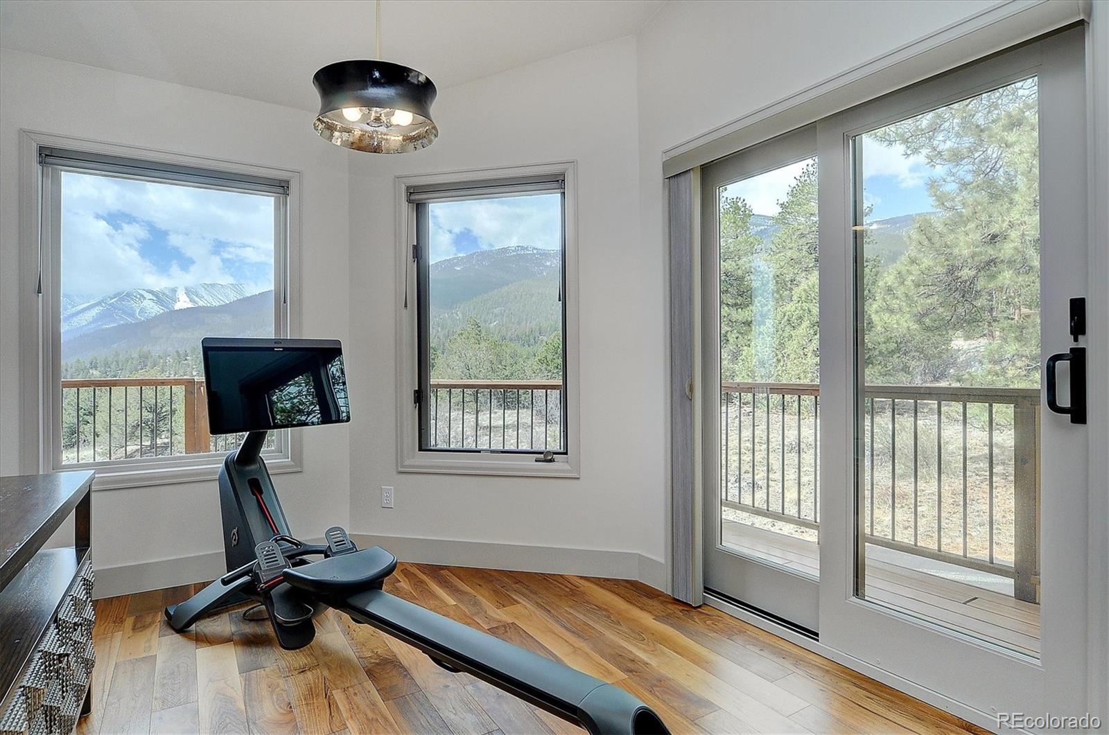 MLS Image #23 for 30034  creek run,buena vista, Colorado