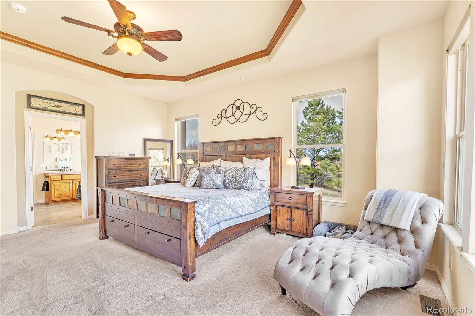 MLS Image #19 for 501  young circle,castle rock, Colorado