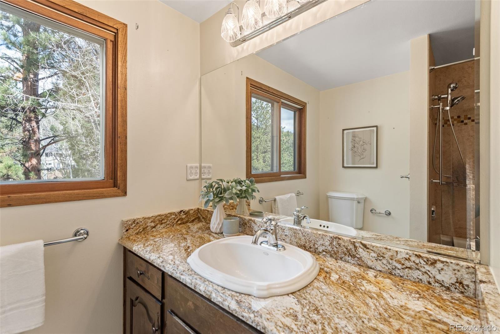 MLS Image #34 for 13609  elsie road,conifer, Colorado