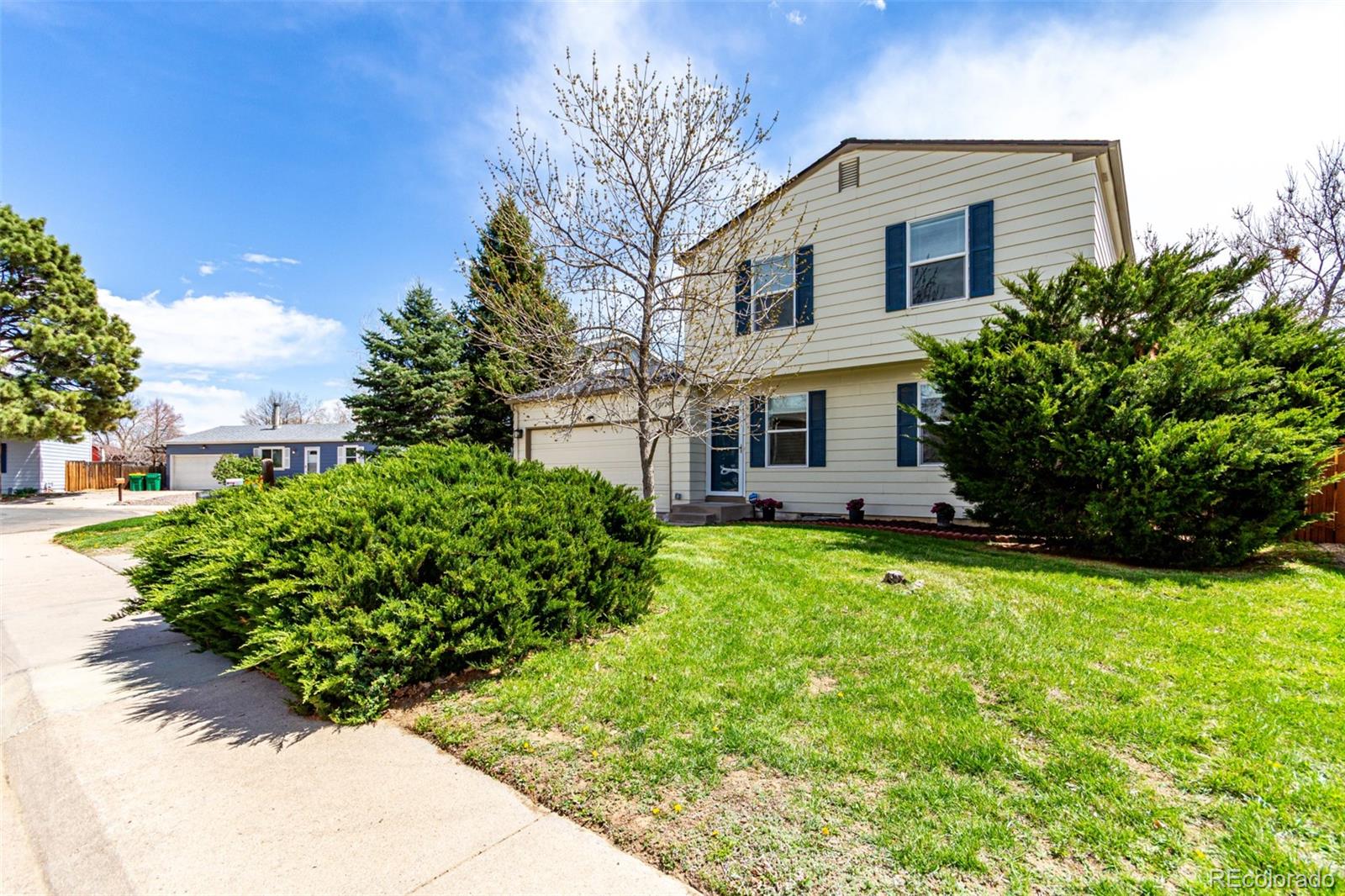 MLS Image #3 for 10720  moore circle,westminster, Colorado