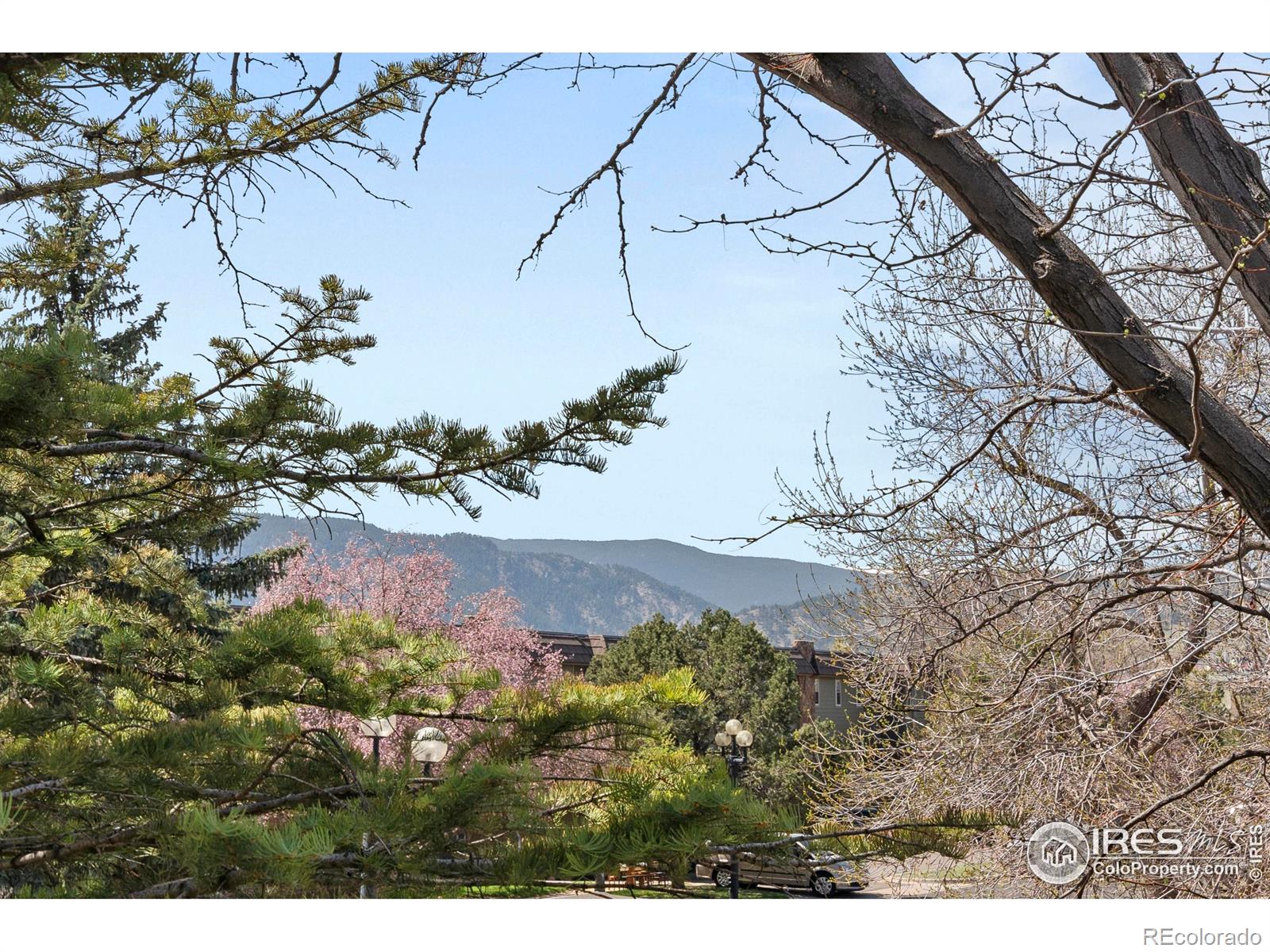 MLS Image #12 for 3335  chisholm trail,boulder, Colorado