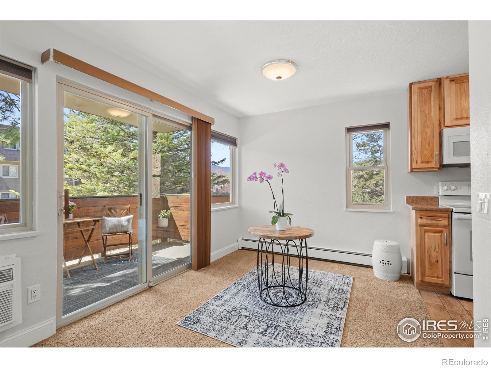 MLS Image #3 for 3335  chisholm trail,boulder, Colorado