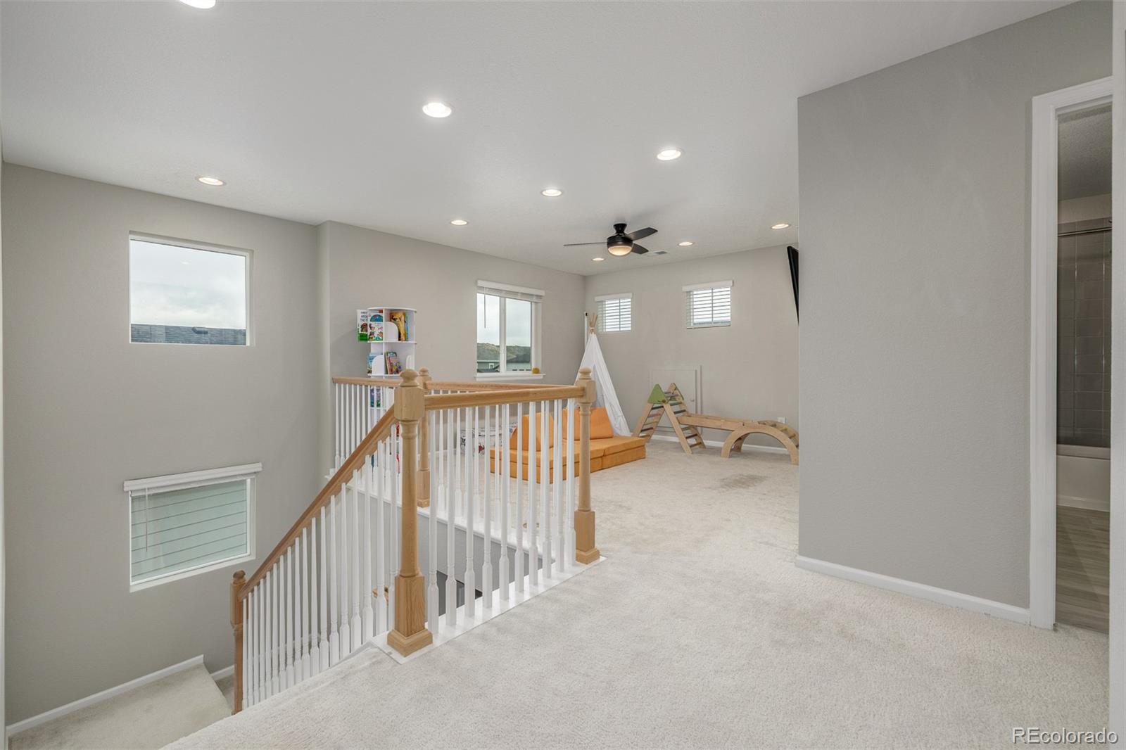 MLS Image #14 for 4925  coltin trail,castle rock, Colorado