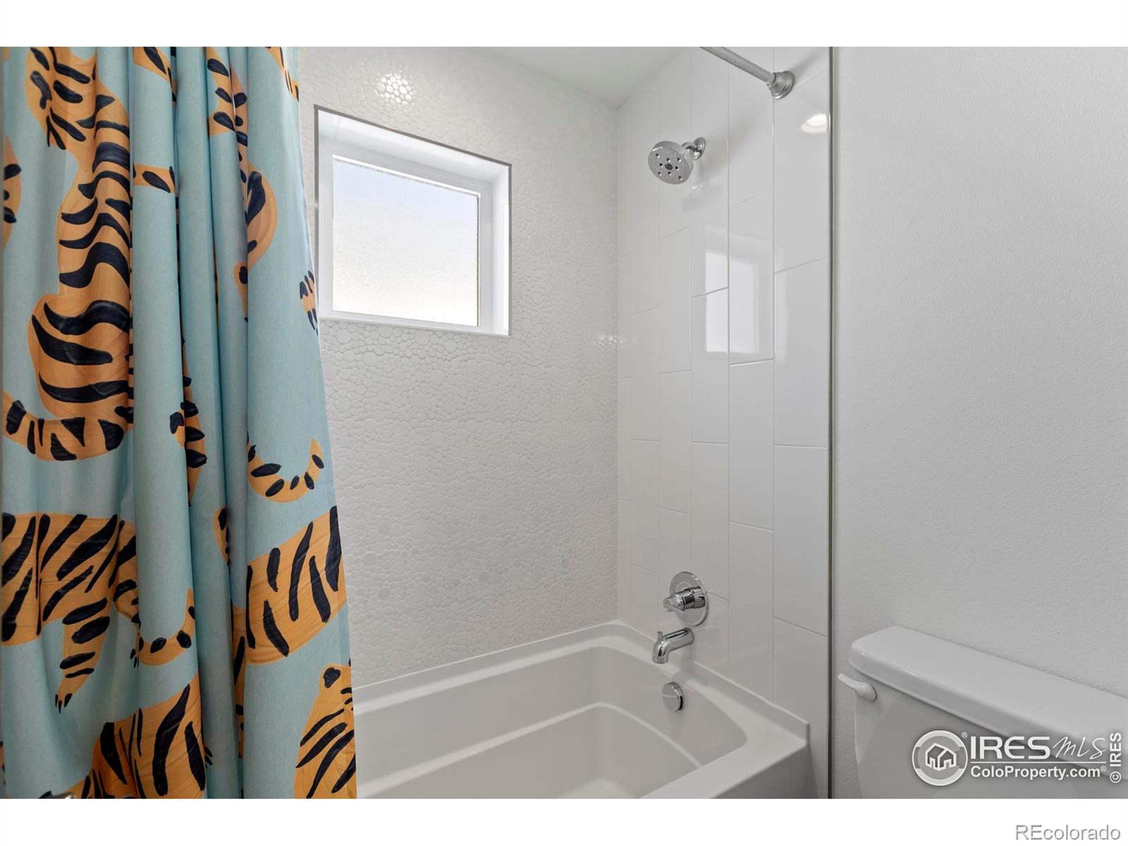 MLS Image #24 for 3809  wild elm way,fort collins, Colorado