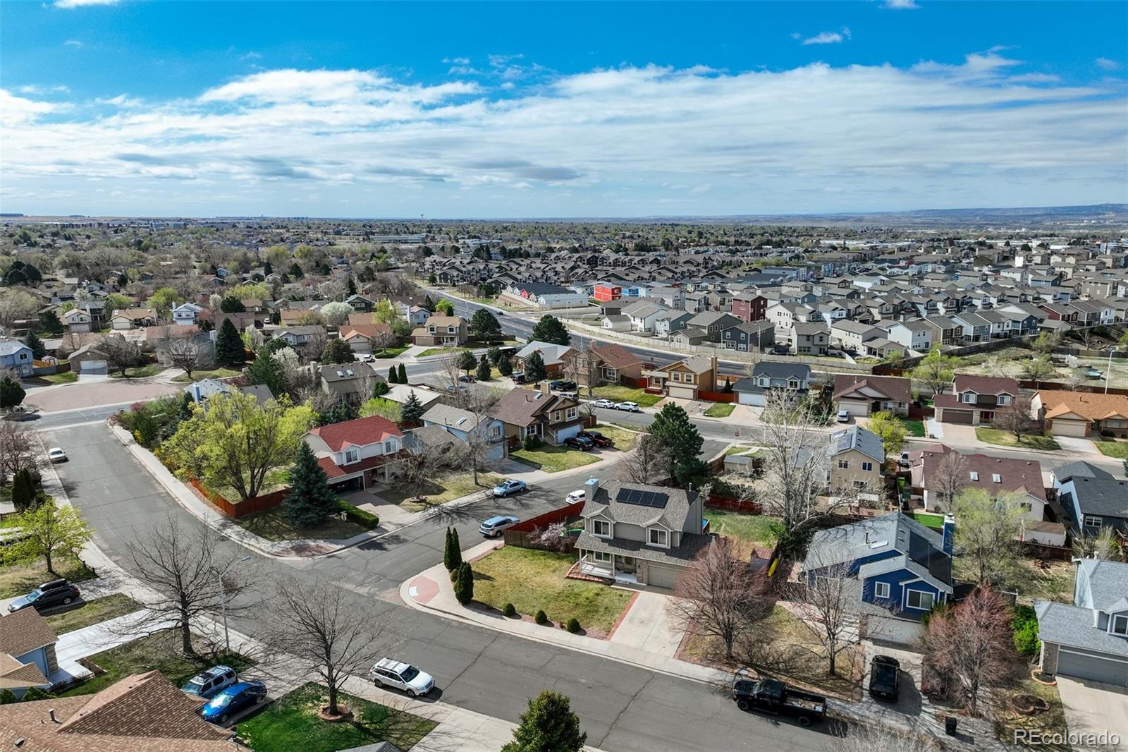 MLS Image #6 for 4255  grassy court,colorado springs, Colorado