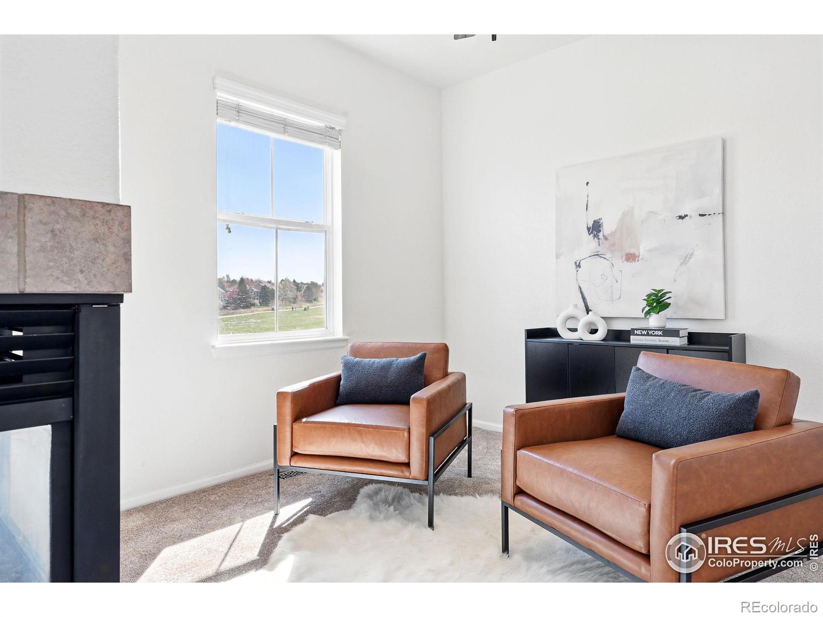 MLS Image #19 for 13122  grant circle,thornton, Colorado