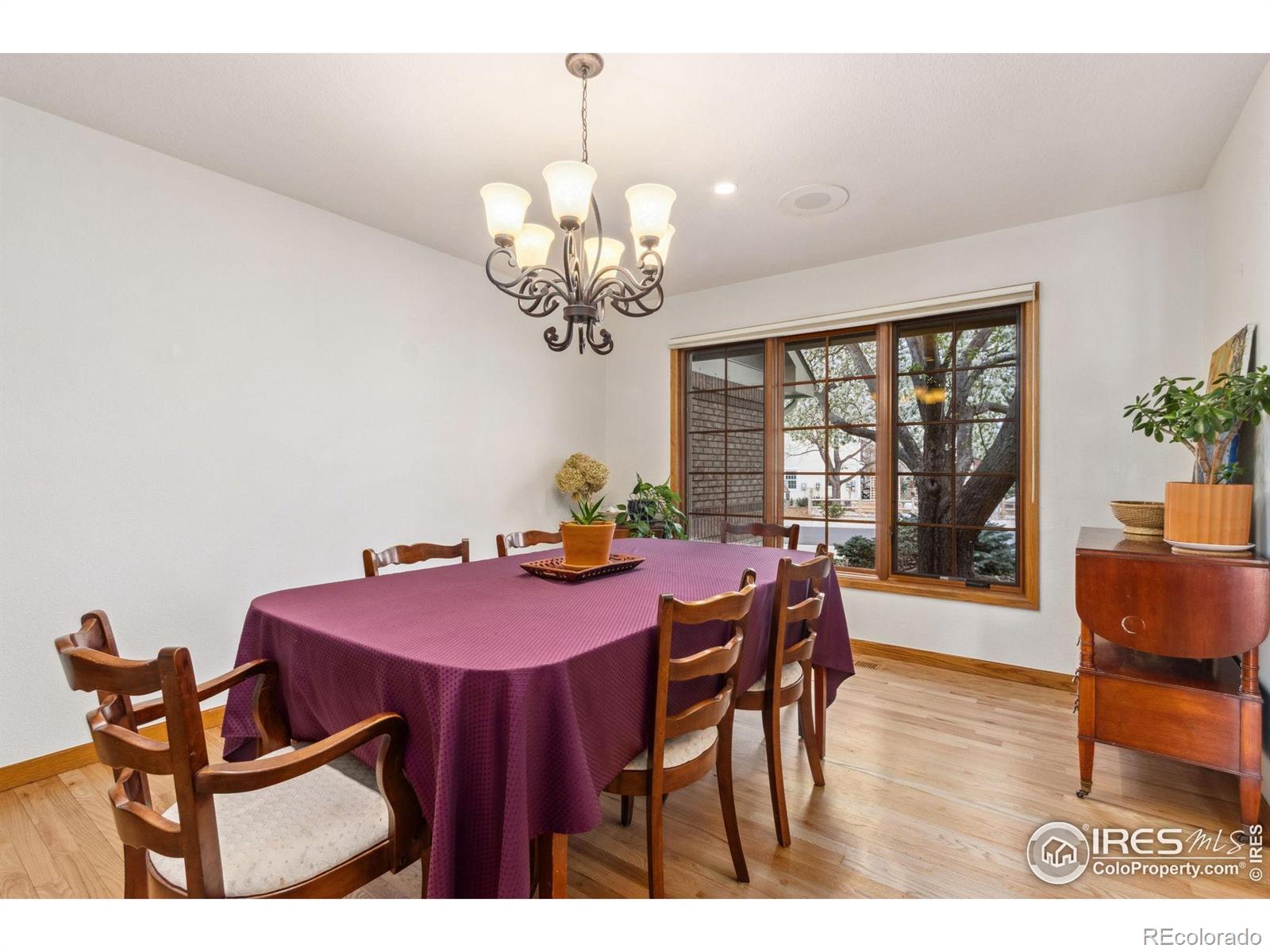 MLS Image #10 for 1236  paragon place,fort collins, Colorado