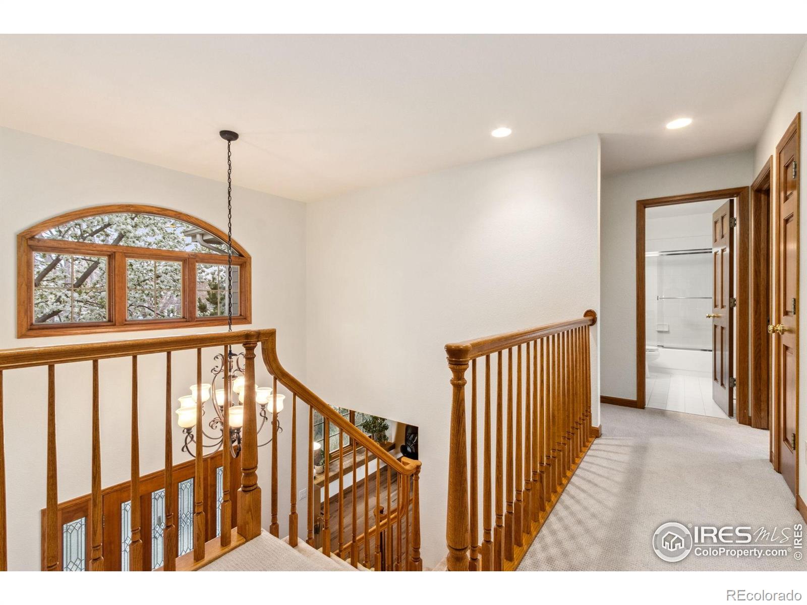 MLS Image #12 for 1236  paragon place,fort collins, Colorado
