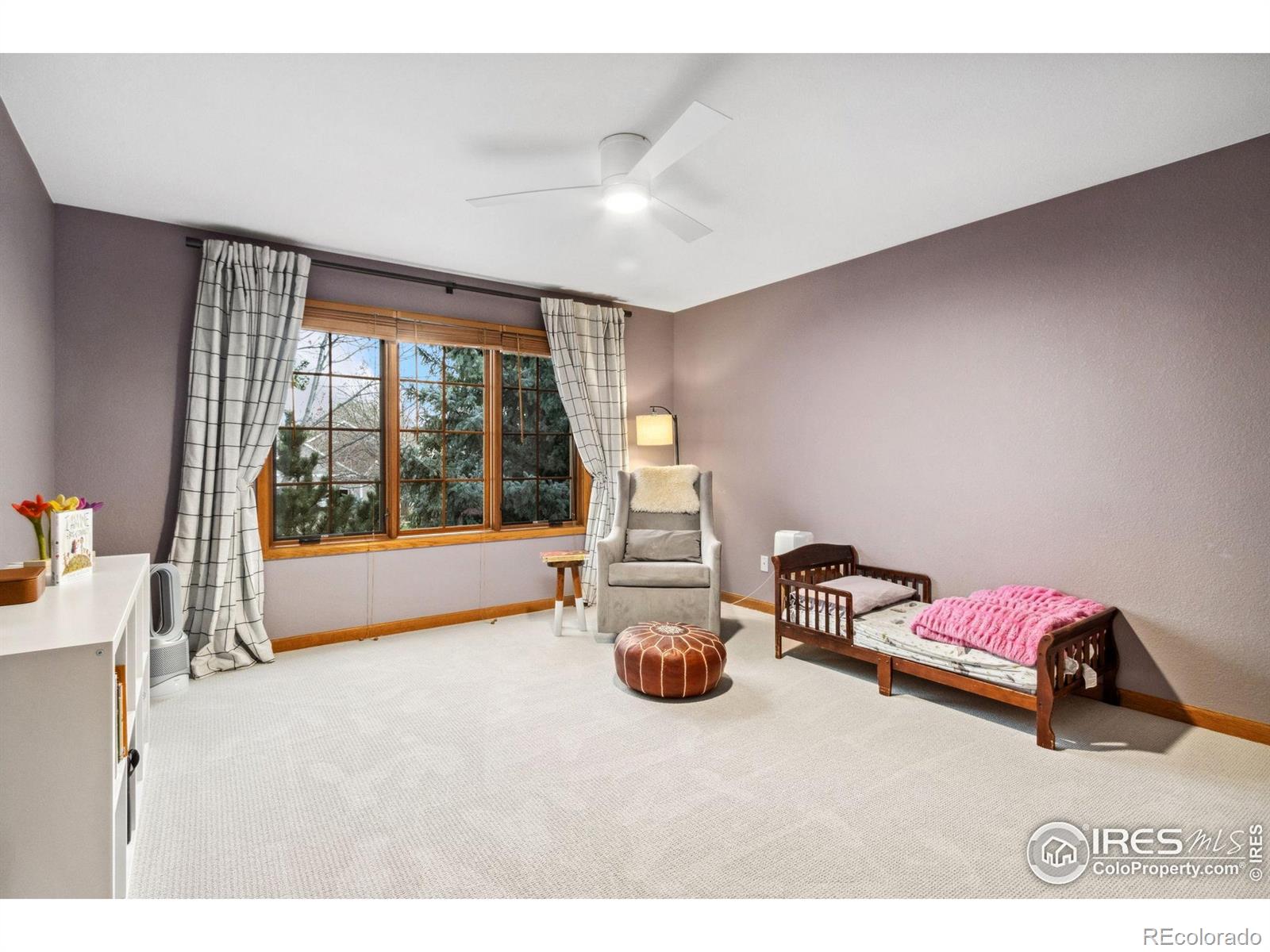 MLS Image #16 for 1236  paragon place,fort collins, Colorado