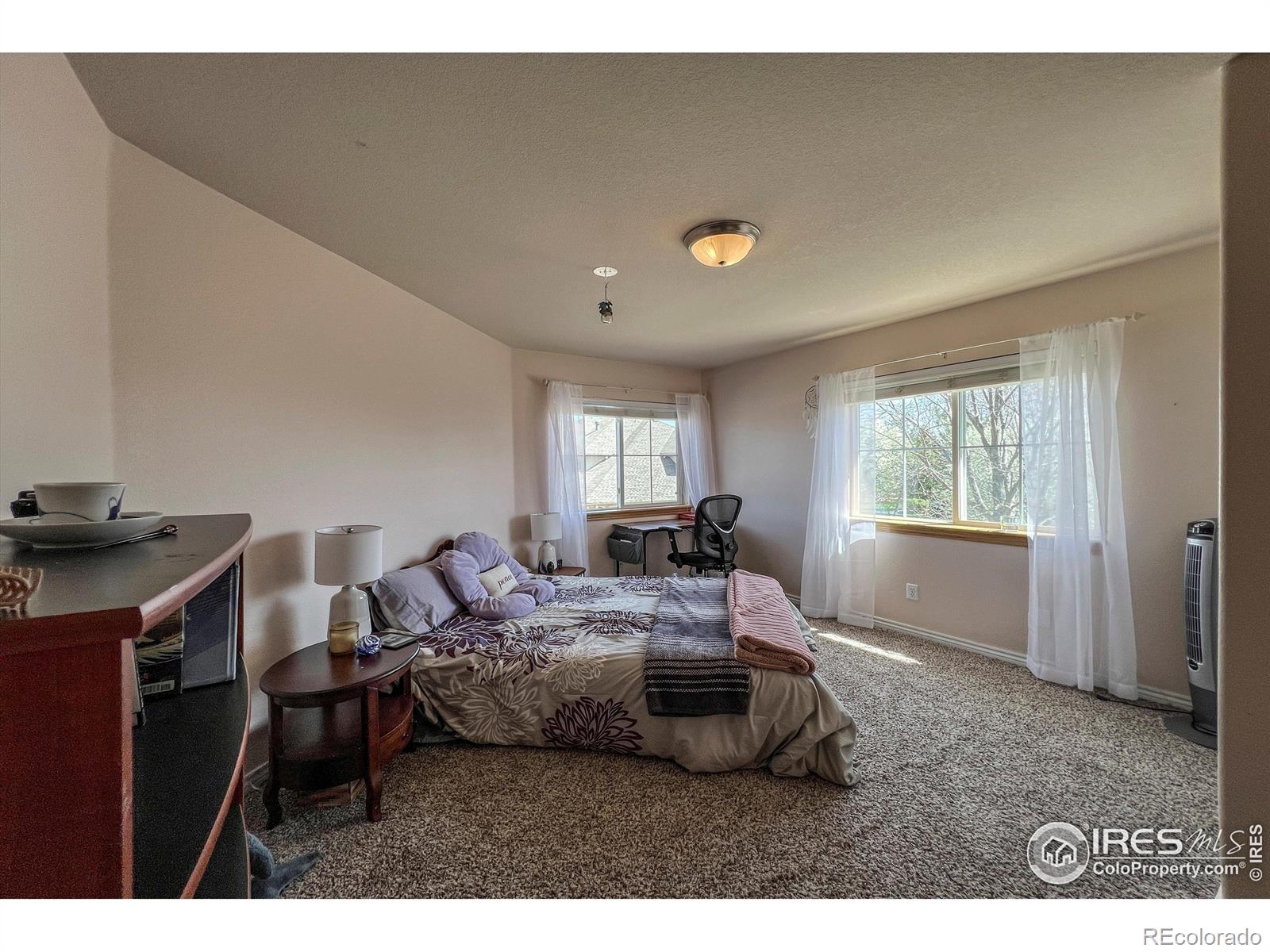 MLS Image #21 for 2000  prestwick court,longmont, Colorado