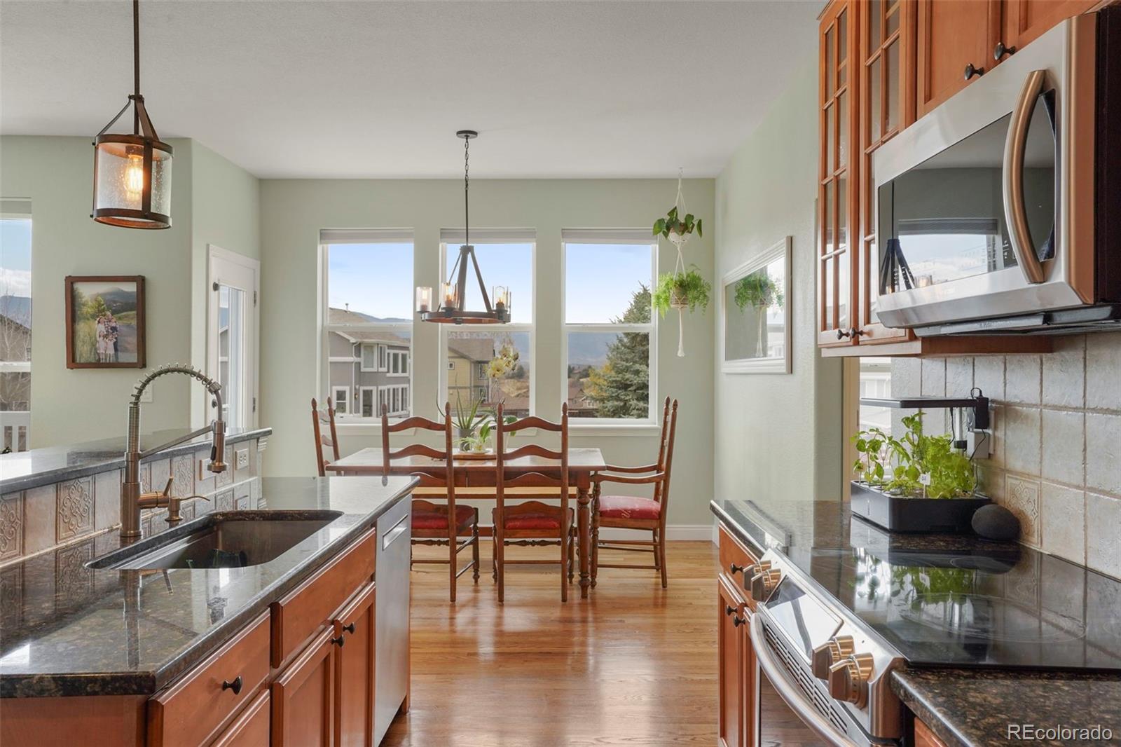 MLS Image #10 for 13860  antelope pass place,colorado springs, Colorado