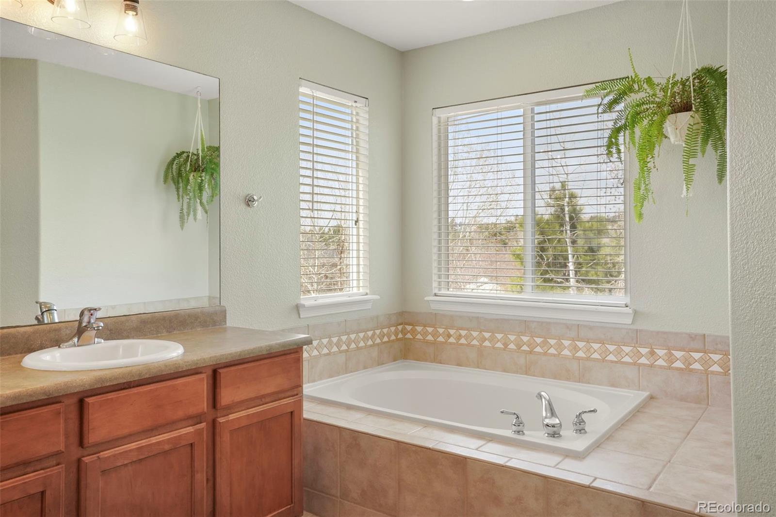MLS Image #19 for 13860  antelope pass place,colorado springs, Colorado
