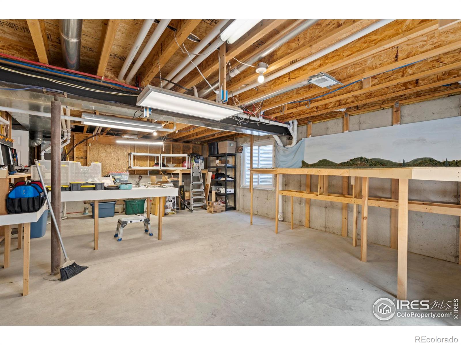 MLS Image #25 for 1041  grand avenue,windsor, Colorado