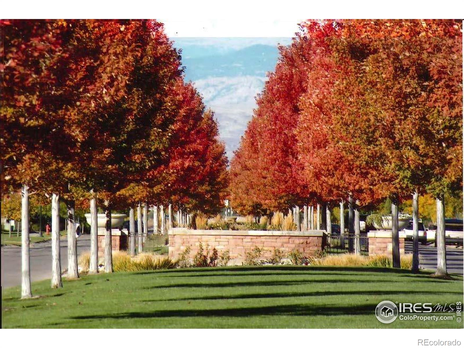 MLS Image #32 for 1041  grand avenue,windsor, Colorado