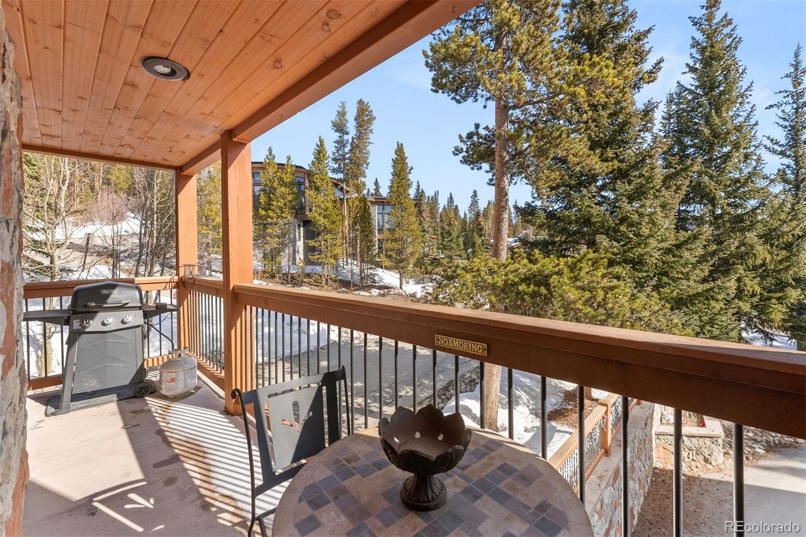 MLS Image #18 for 107  skiwatch drive,breckenridge, Colorado