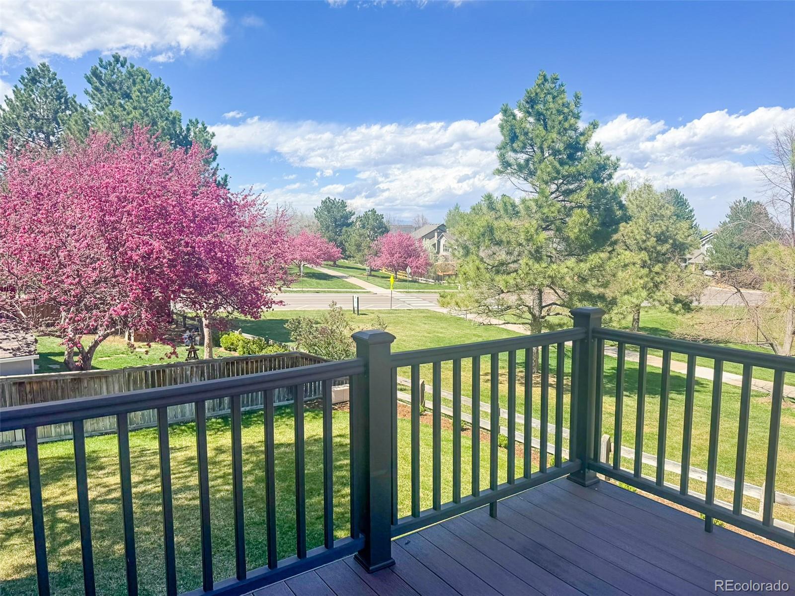 MLS Image #29 for 1431  beacon hill drive,highlands ranch, Colorado