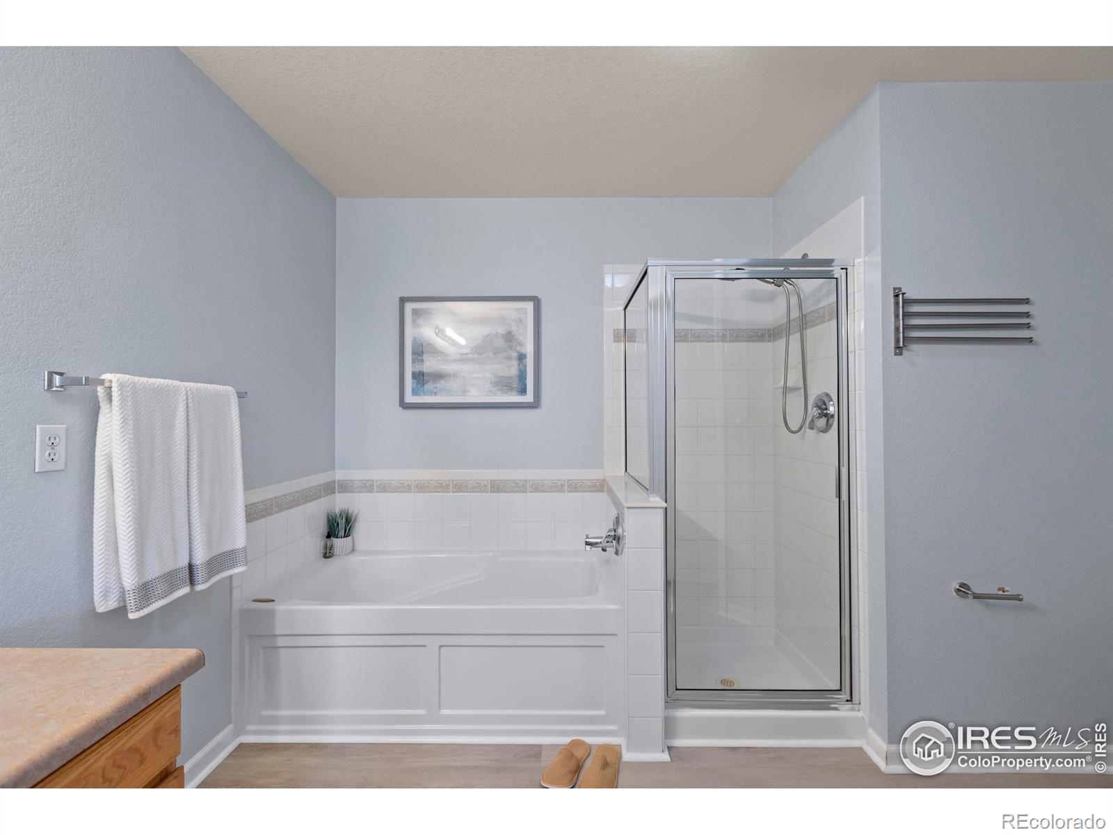 MLS Image #16 for 2809  brush creek drive,fort collins, Colorado