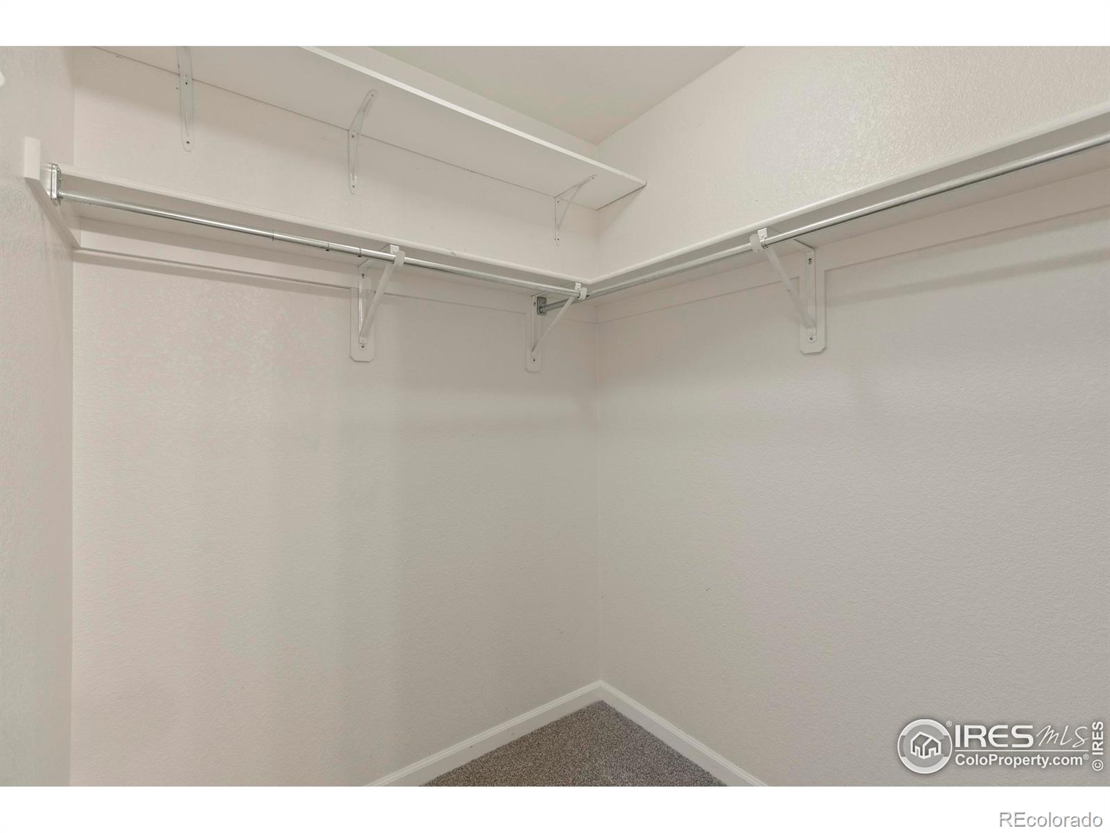 MLS Image #18 for 2809  brush creek drive,fort collins, Colorado
