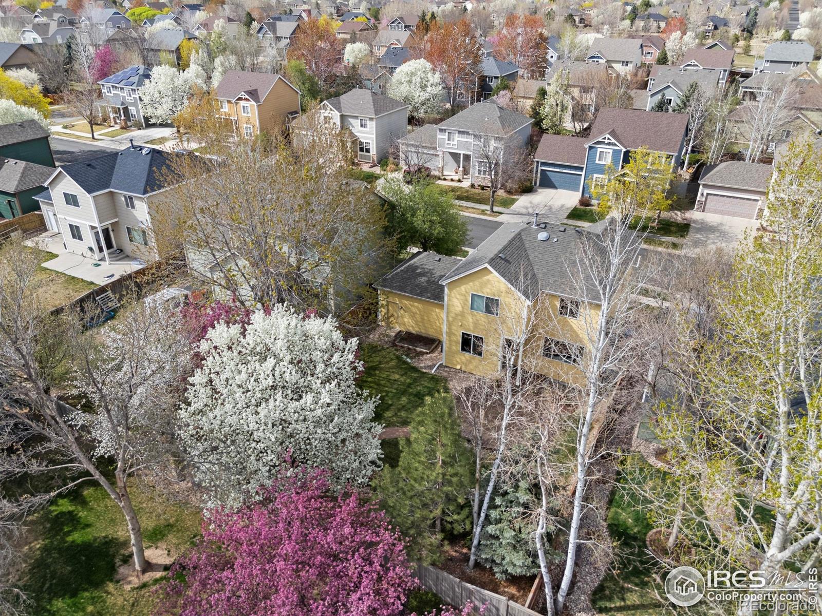 MLS Image #34 for 2809  brush creek drive,fort collins, Colorado