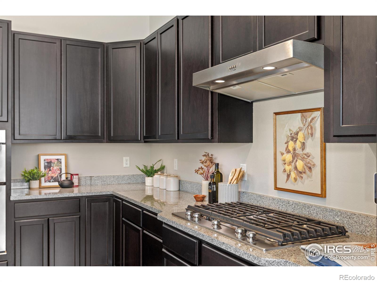 MLS Image #10 for 6020  fall harvest way,fort collins, Colorado