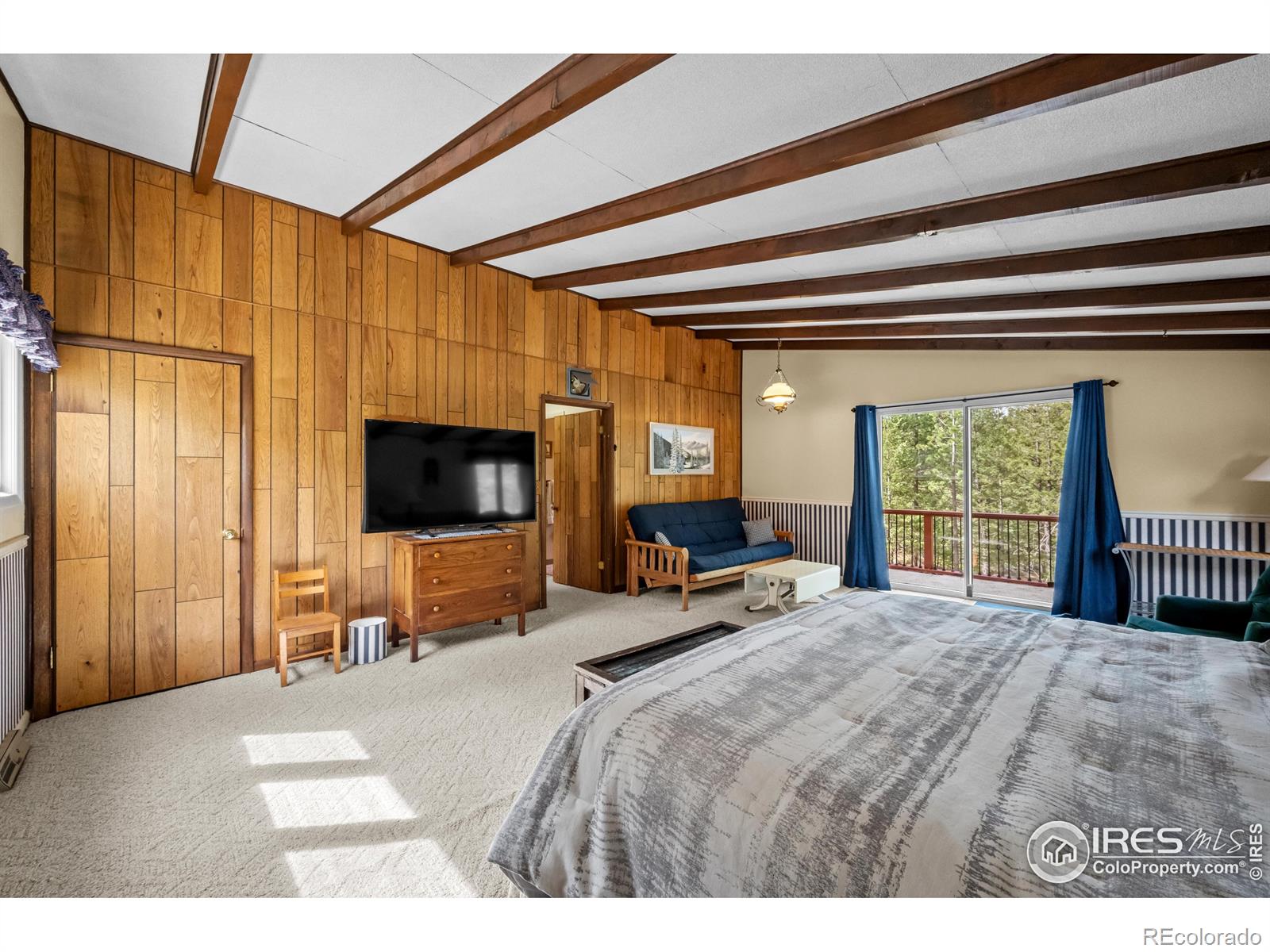 MLS Image #23 for 430  hickory drive,lyons, Colorado