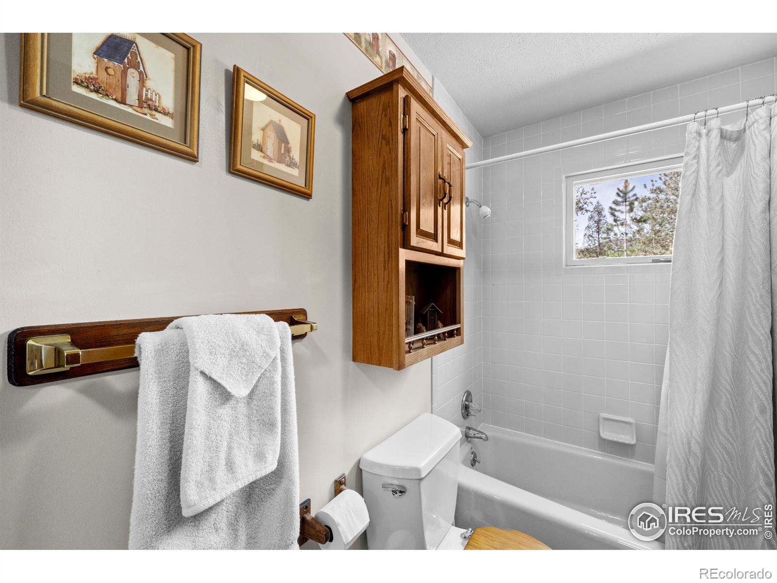MLS Image #25 for 430  hickory drive,lyons, Colorado