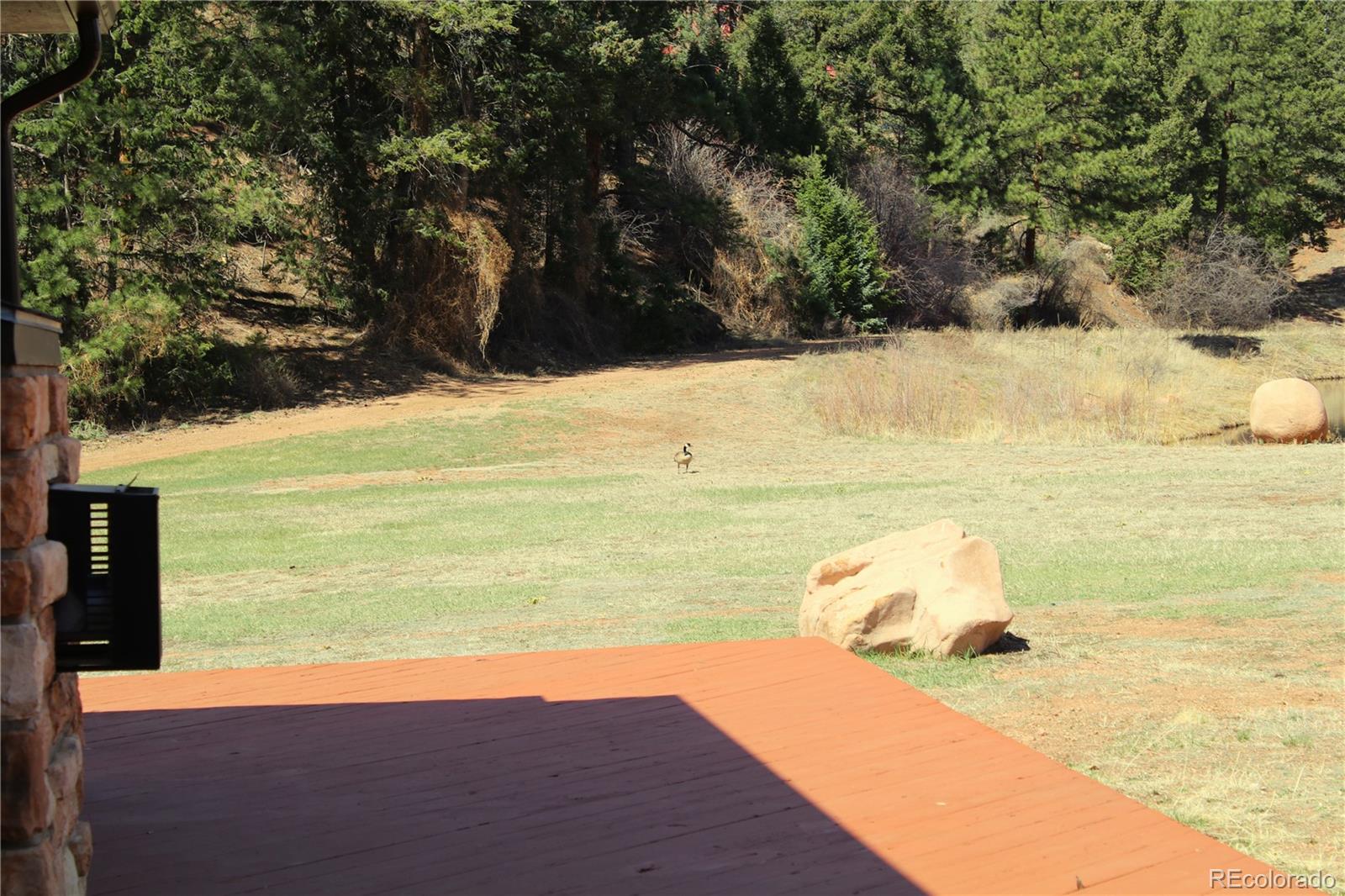MLS Image #19 for 14885  lodge drive,sedalia, Colorado