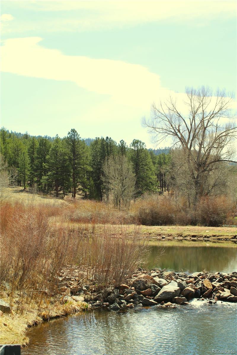 MLS Image #3 for 14885  lodge drive,sedalia, Colorado