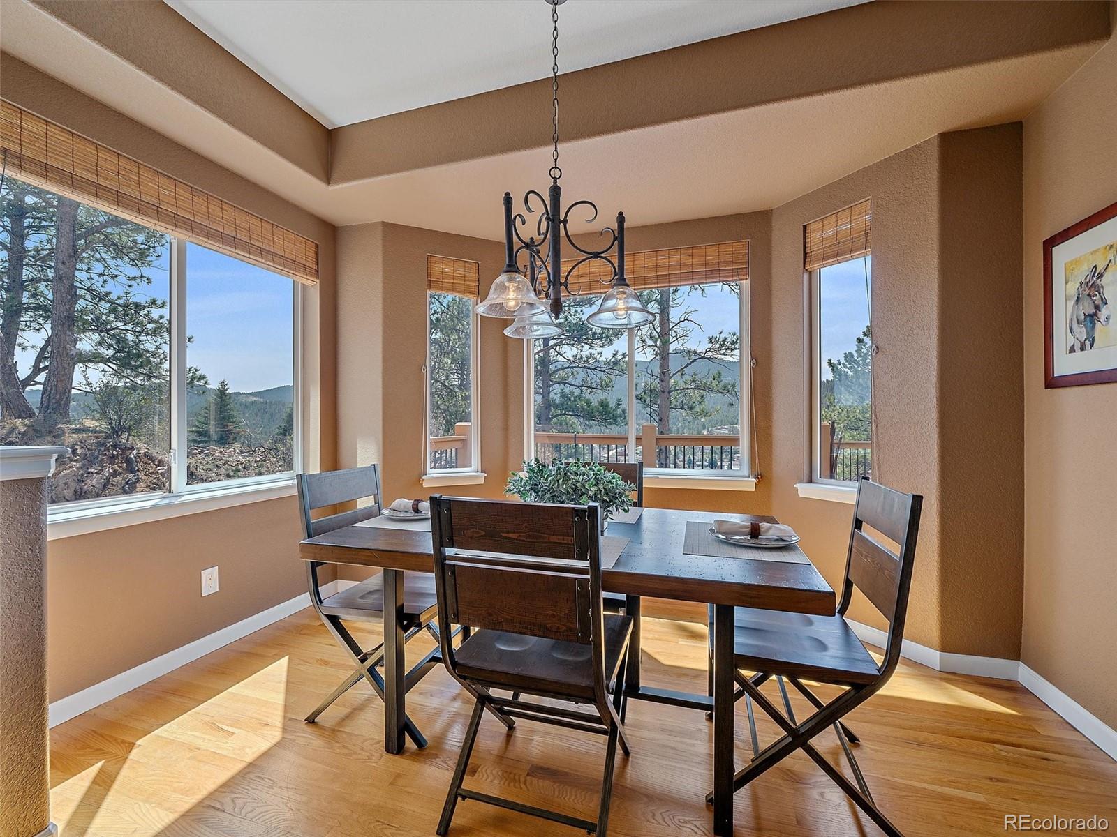 MLS Image #14 for 3173  gold yarrow lane,evergreen, Colorado